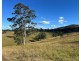 LOT 80 of 449 Hickeys Creek Road, Millbank NSW 2440