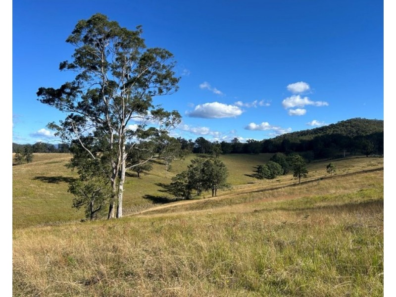 LOT 80 of 449 Hickeys Creek Road, Millbank NSW 2440