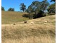 lot 25 of 449 Hickeys Creek Road, Millbank NSW 2440