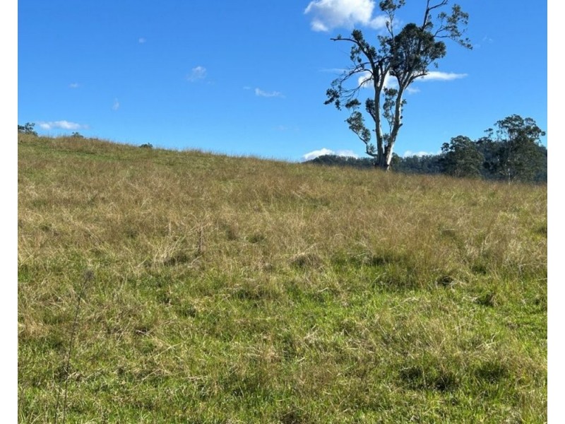 lot 25 of 449 Hickeys Creek Road, Millbank NSW 2440