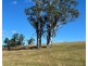 lot 25 of 449 Hickeys Creek Road, Millbank NSW 2440