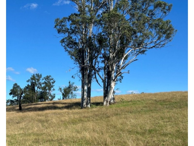 lot 25 of 449 Hickeys Creek Road, Millbank NSW 2440