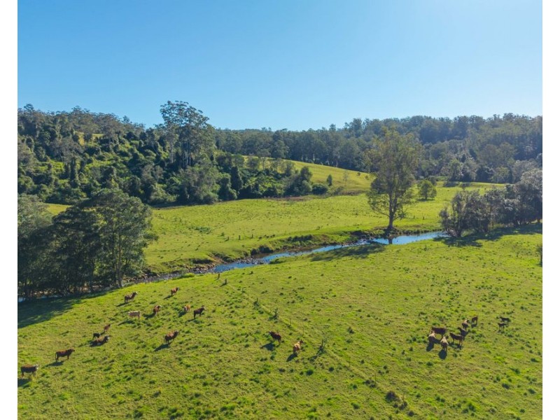 1635 Lorne Road, Kerewong NSW 2439