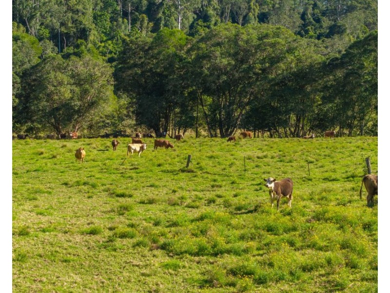 1635 Lorne Road, Kerewong NSW 2439