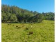 1635 Lorne Road, Kerewong NSW 2439