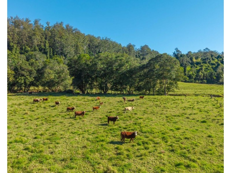 1635 Lorne Road, Kerewong NSW 2439