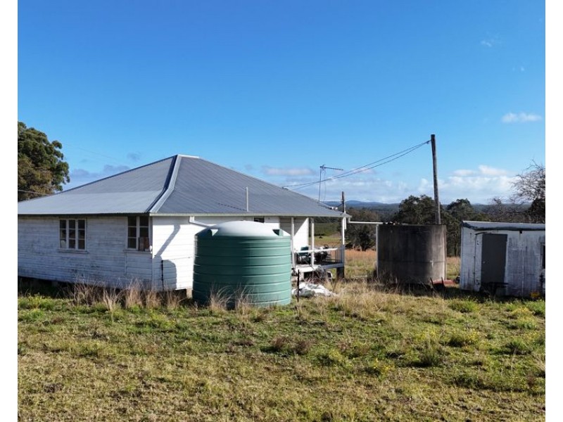 638 collombatti Road, Collombatti NSW 2440
