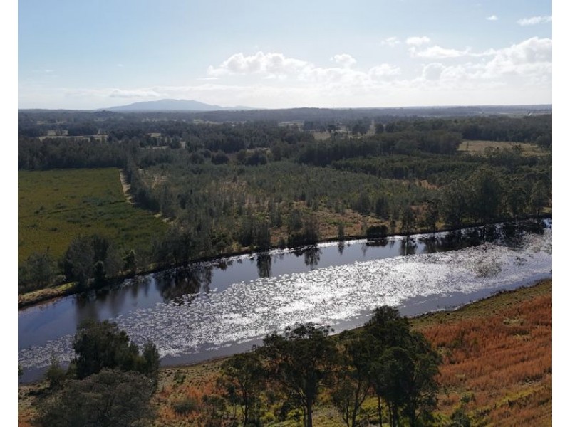 638 collombatti Road, Collombatti NSW 2440