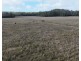 638 collombatti Road, Collombatti NSW 2440