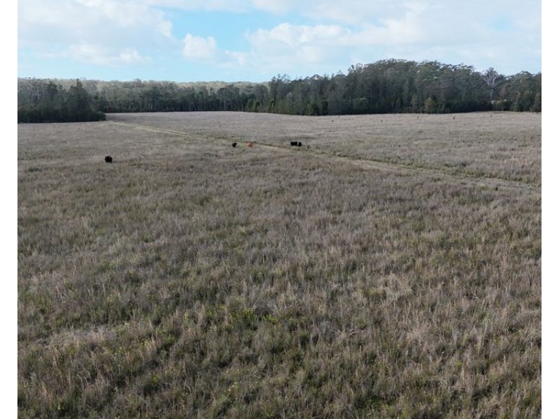 638 collombatti Road, Collombatti NSW 2440