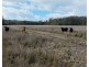 638 collombatti Road, Collombatti NSW 2440