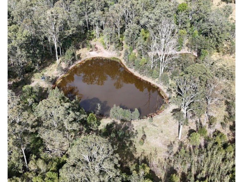 638 collombatti Road, Collombatti NSW 2440