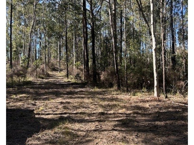 Collombatti NSW 2440