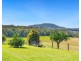 659 South Bank Road, Tamban NSW 2441