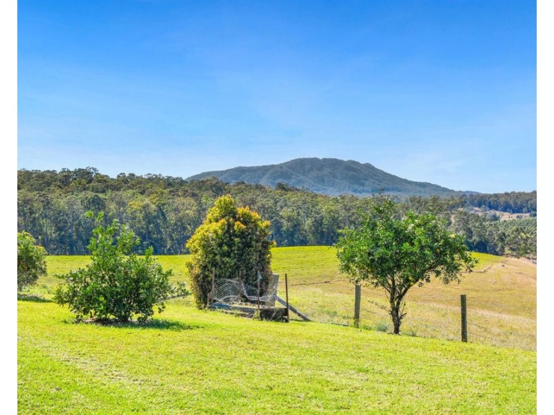 659 South Bank Road, Tamban NSW 2441