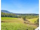 659 South Bank Road, Tamban NSW 2441