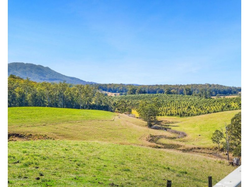 659 South Bank Road, Tamban NSW 2441