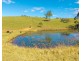 659 South Bank Road, Tamban NSW 2441