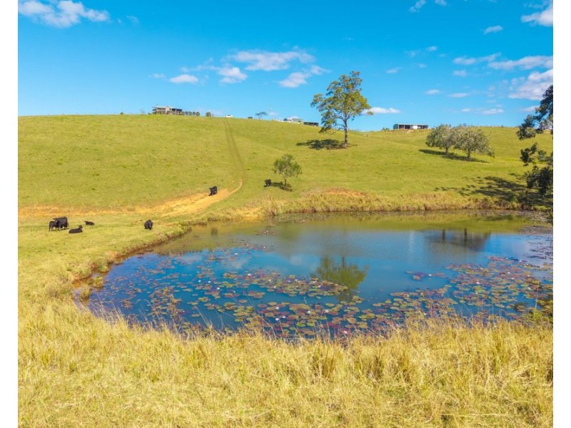 659 South Bank Road, Tamban NSW 2441