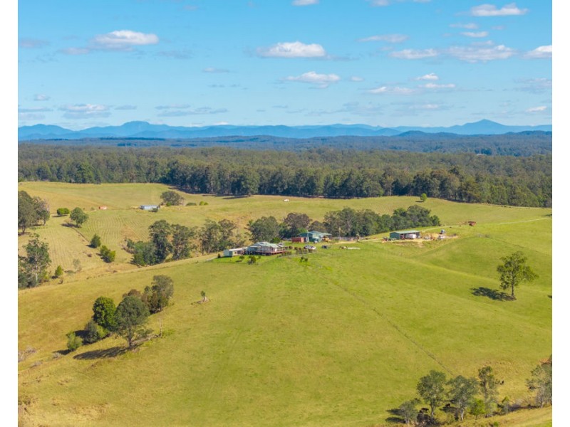 659 South Bank Road, Tamban NSW 2441