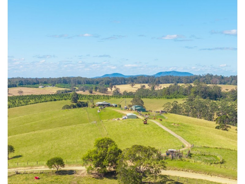 659 South Bank Road, Tamban NSW 2441
