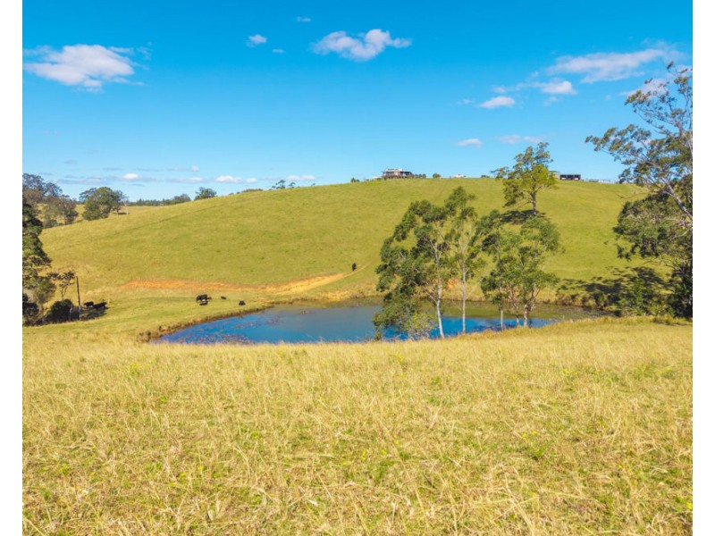 659 South Bank Road, Tamban NSW 2441