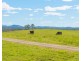 659 South Bank Road, Tamban NSW 2441