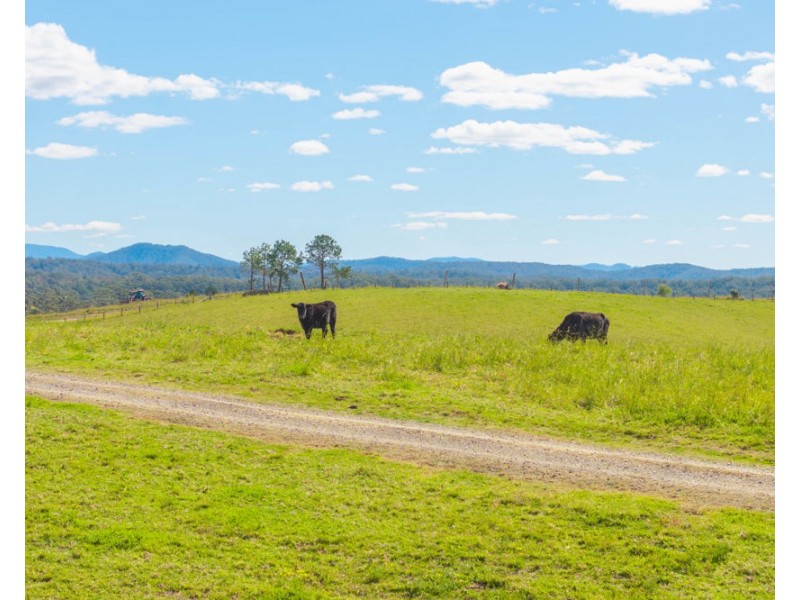 659 South Bank Road, Tamban NSW 2441