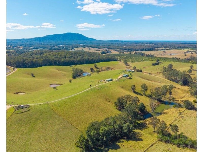 659 South Bank Road, Tamban NSW 2441