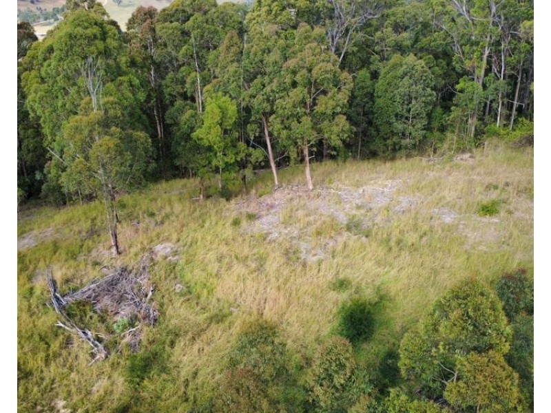 1029 Pappinbarra Road, Lower Pappinbarra NSW 2446