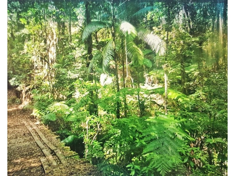 1411 Kalang Road, Kalang NSW 2454