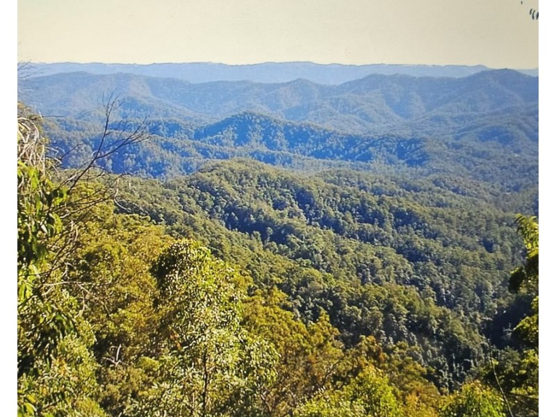 1411 Kalang Road, Kalang NSW 2454