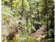 1411 Kalang Road, Kalang NSW 2454