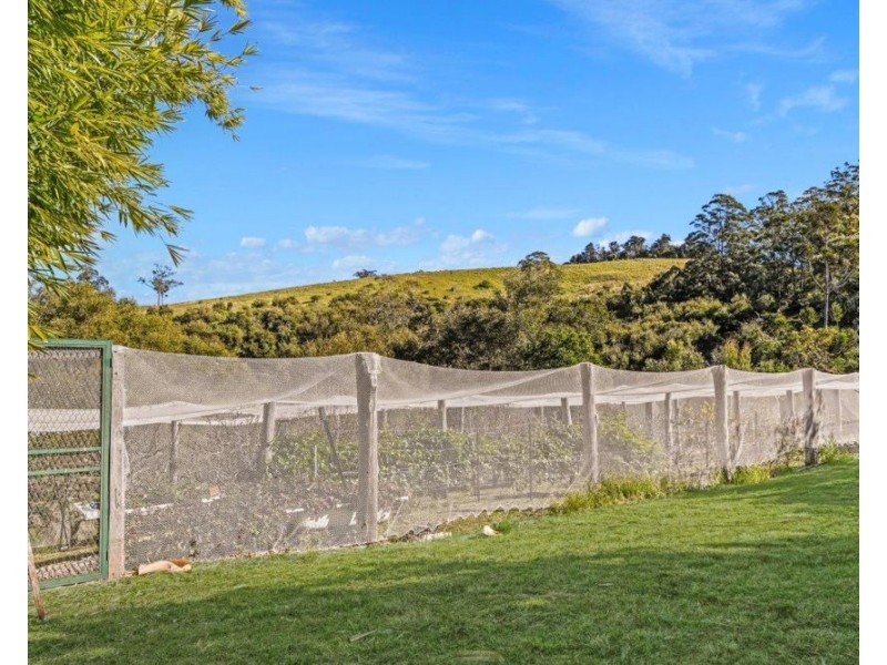 Lot 184 Ponfords Road, Comboyne NSW 2429