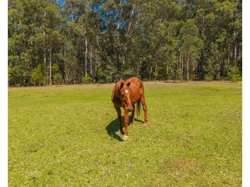 28 Rodeo Drive, Kundabung NSW 2441