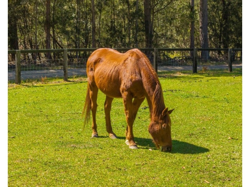 28 Rodeo Drive, Kundabung NSW 2441