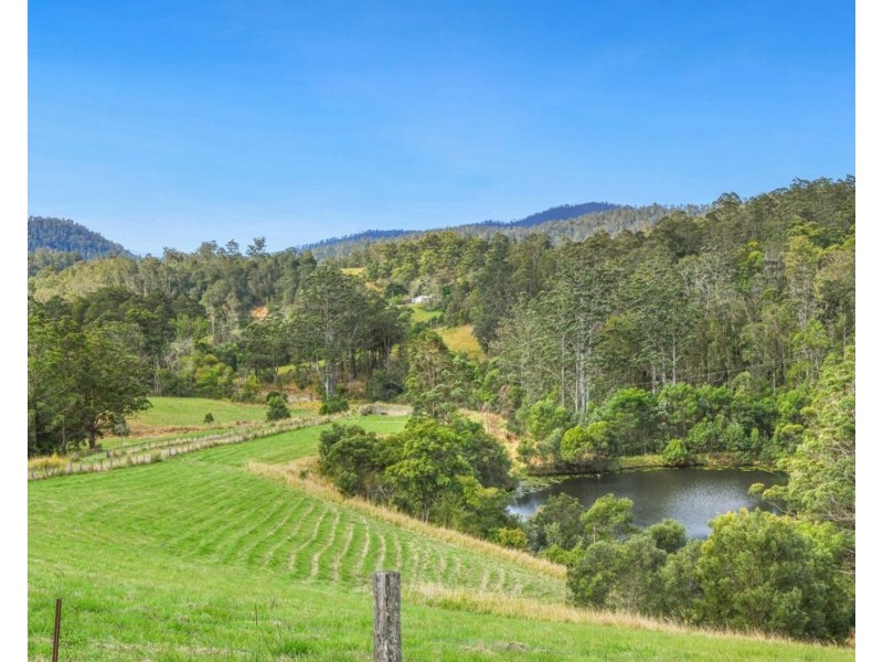 662 McHughes Crk Rd South Arm, Bowraville NSW 2449
