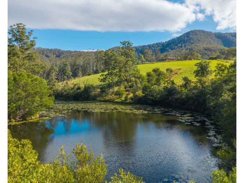 662 McHughes Crk Rd South Arm, Bowraville NSW 2449