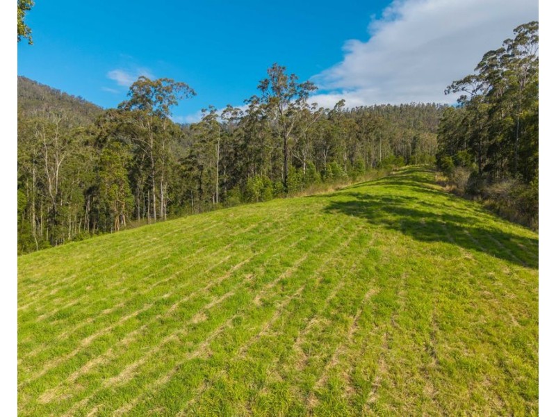 662 McHughes Crk Rd South Arm, Bowraville NSW 2449