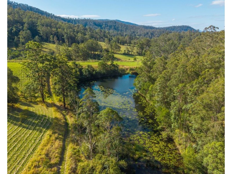 662 McHughes Crk Rd South Arm, Bowraville NSW 2449