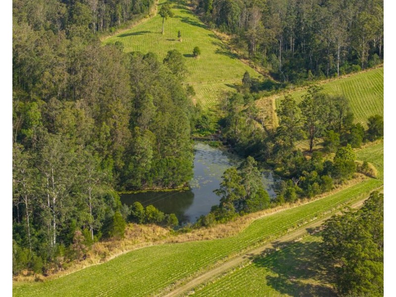 662 McHughes Crk Rd South Arm, Bowraville NSW 2449