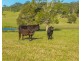 110 Lika Drive, Euroka NSW 2440