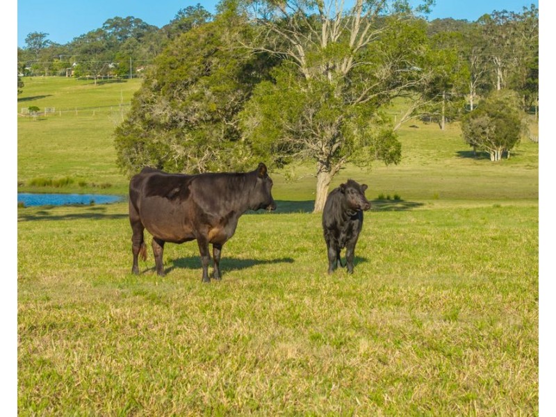 110 Lika Drive, Euroka NSW 2440