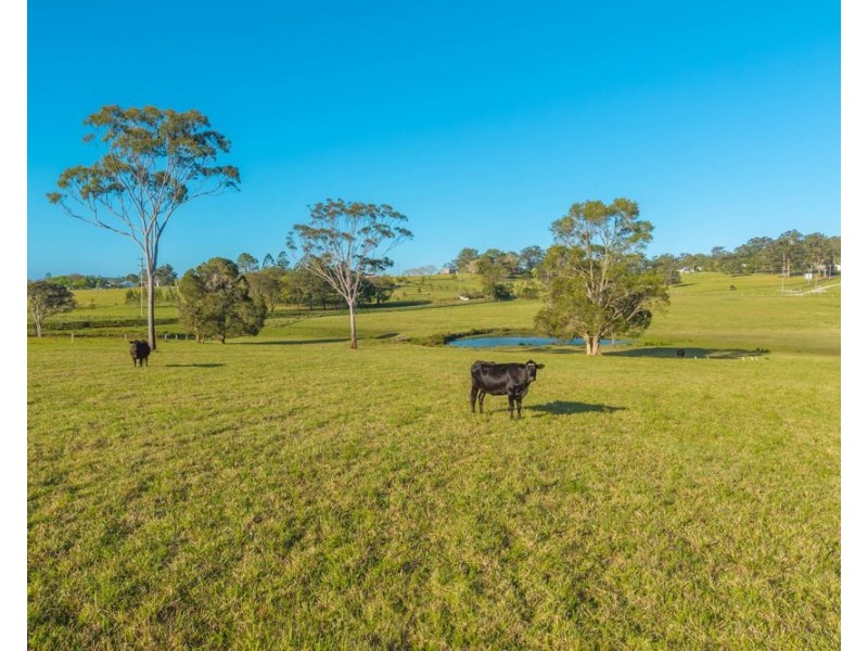 110 Lika Drive, Euroka NSW 2440