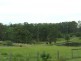Kundabung NSW 2441