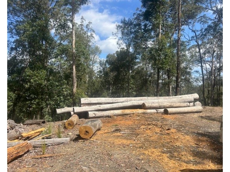 LOT 512 KILPROTAY ROAD, Bellbrook NSW 2440
