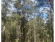 LOT 512 KILPROTAY ROAD, Bellbrook NSW 2440