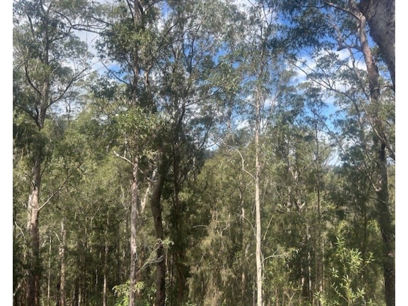 LOT 512 KILPROTAY ROAD, Bellbrook NSW 2440