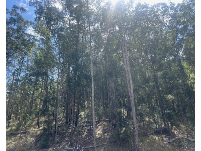 LOT 512 KILPROTAY ROAD, Bellbrook NSW 2440
