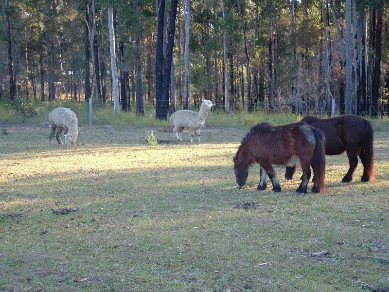 Kundabung NSW 2441